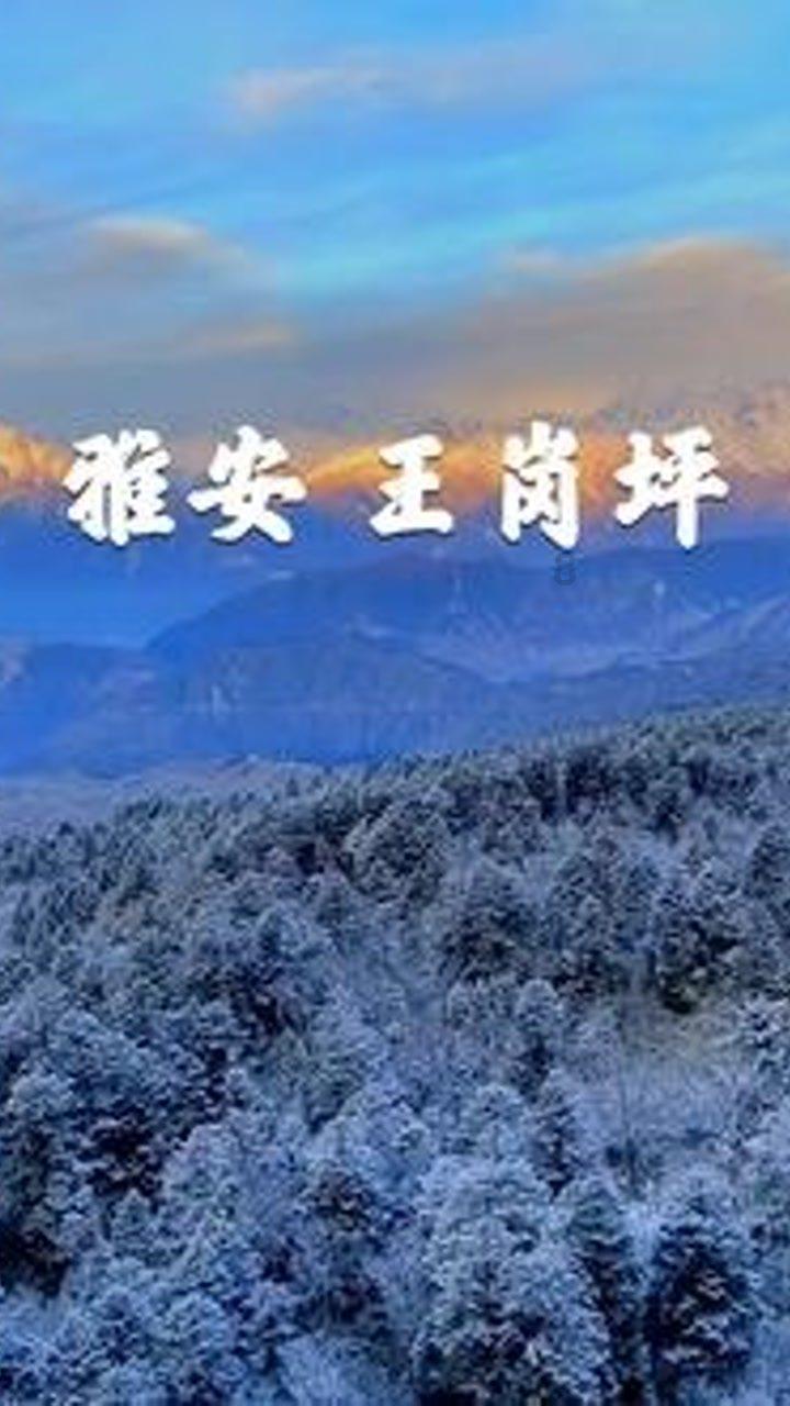 子长市回延安需要核酸检测吗？